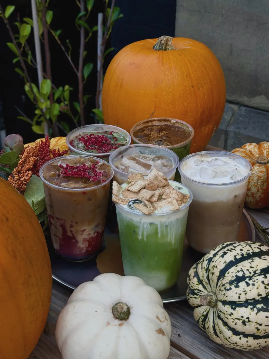 Six iced lattes and matchas on a tray, topped with raspberry crumb and cinnamon cereal, among orange pumpkins and striped squash outside the café